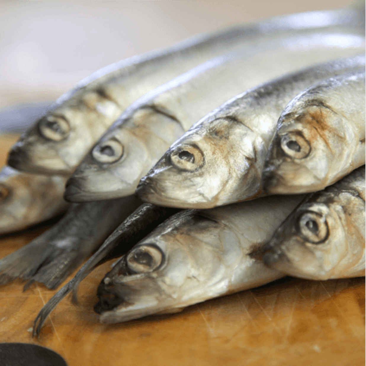 Frozen sprats for dogs hotsell